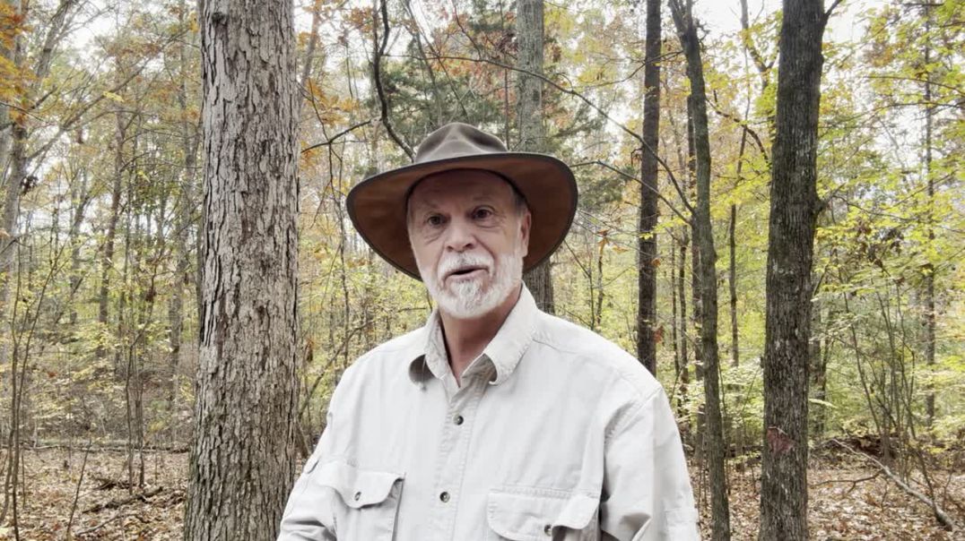 Greatness Isn't Always Comfortable